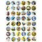 Bird Stickers 3/4" – 480 Pack, 10 Sheets of Realistic Animal Stickers